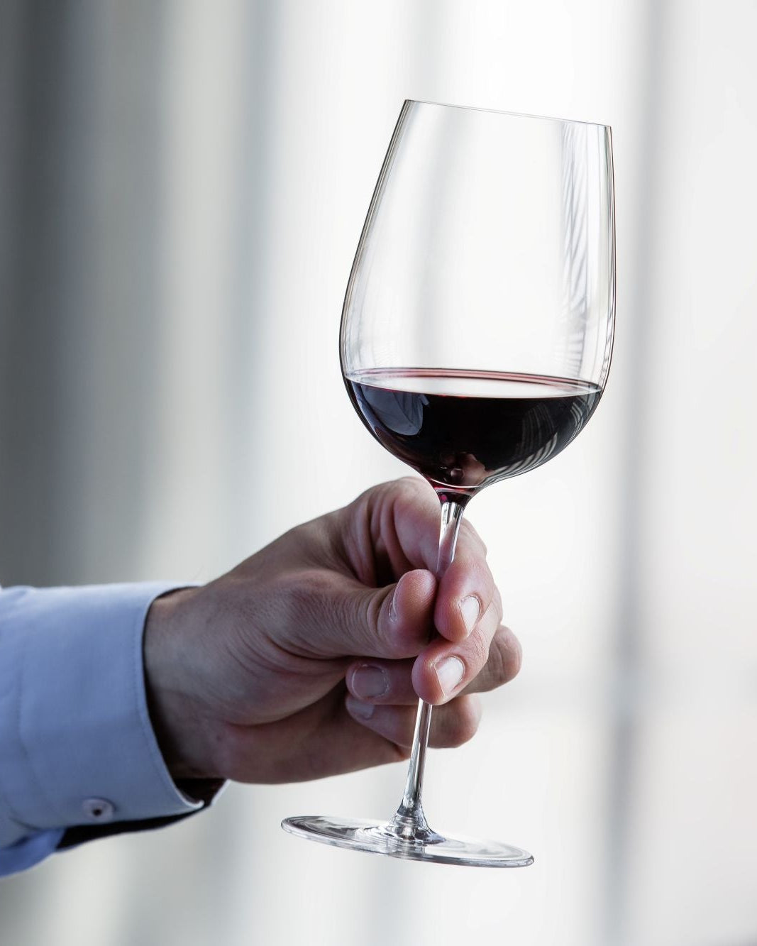 L'Esthete Wine Glass