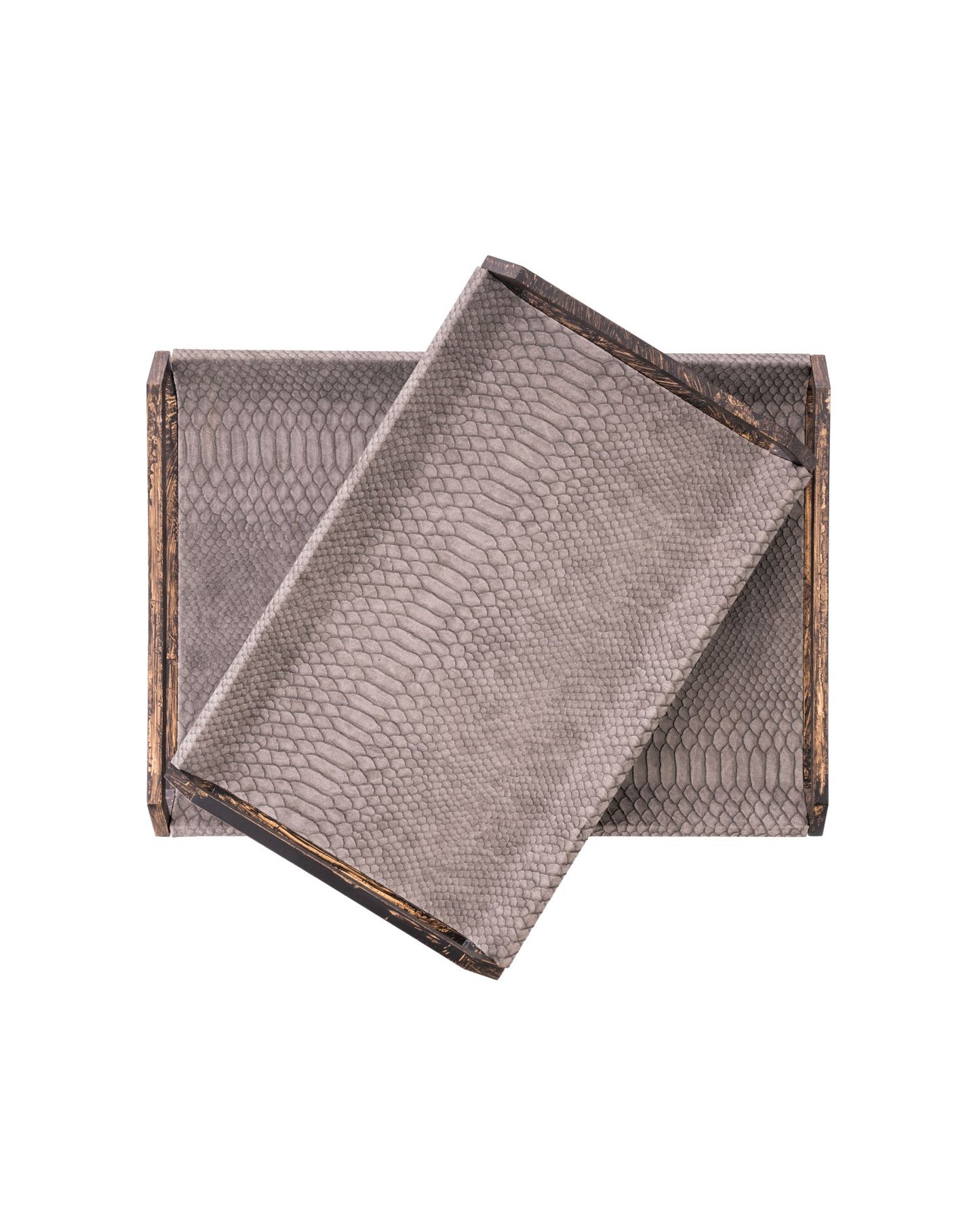 Campbell Tray