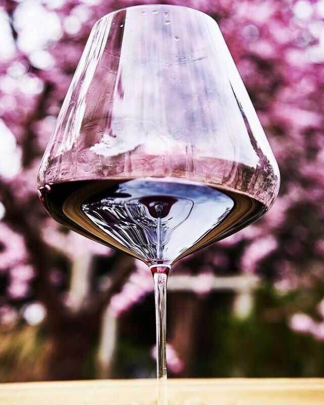 Zalto Burgundy Glass