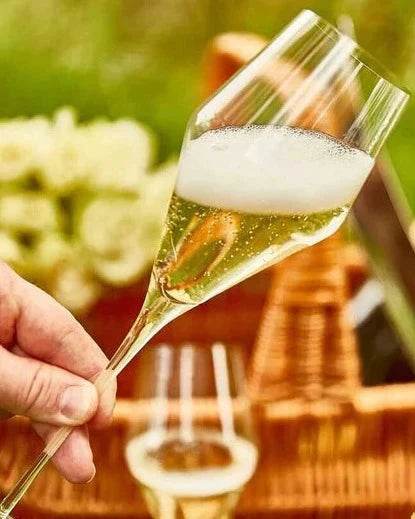 Zalto Champagne Glass