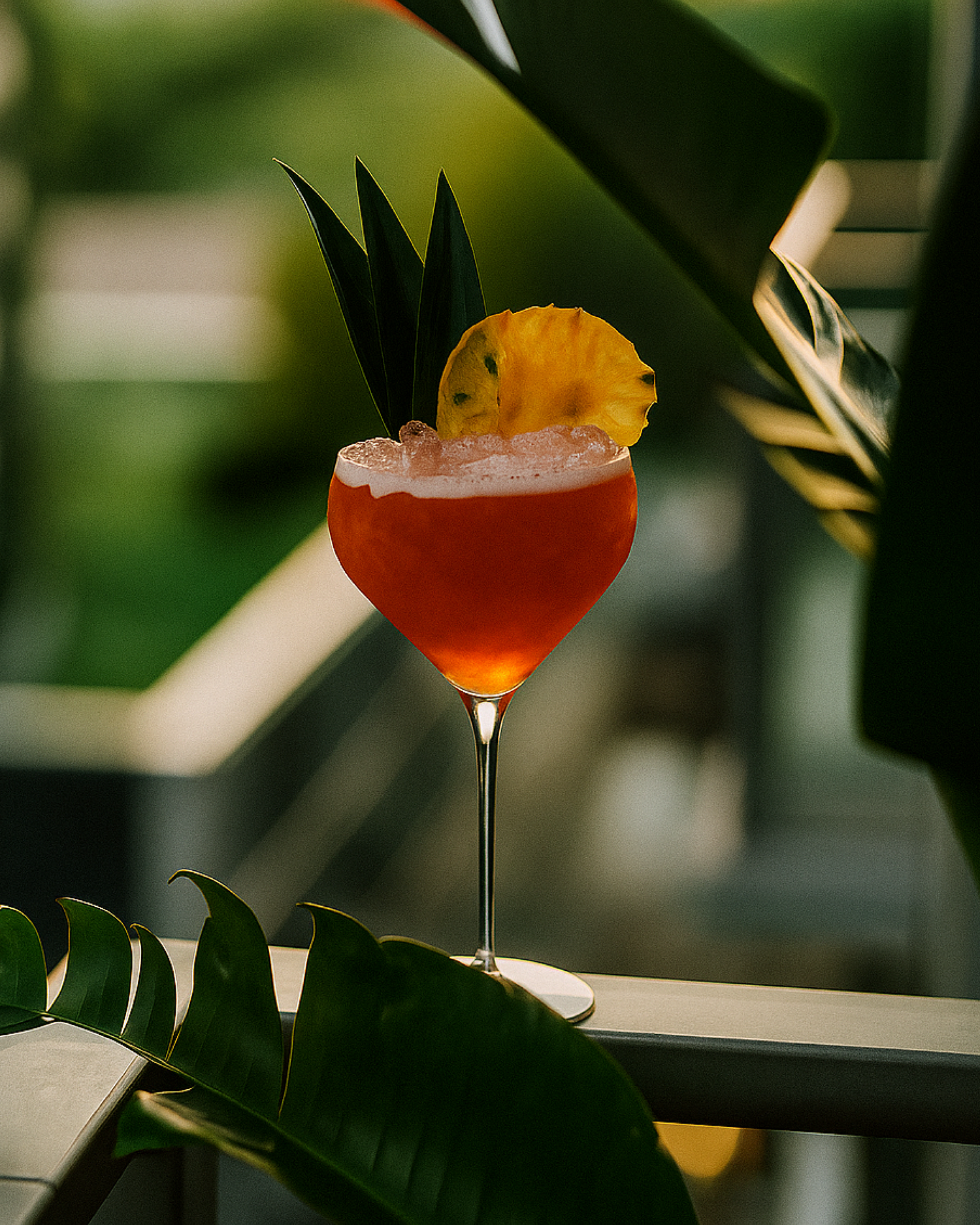 Cocktail Glasses