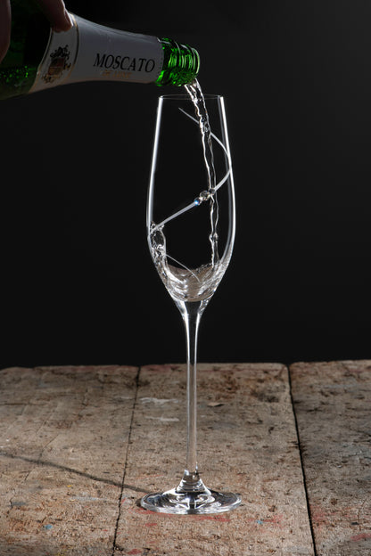 Silhouette Champagne Flute For Your Home Bar