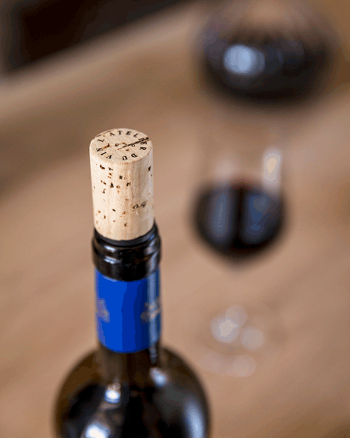 Cork Stopper