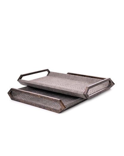 Campbell Tray