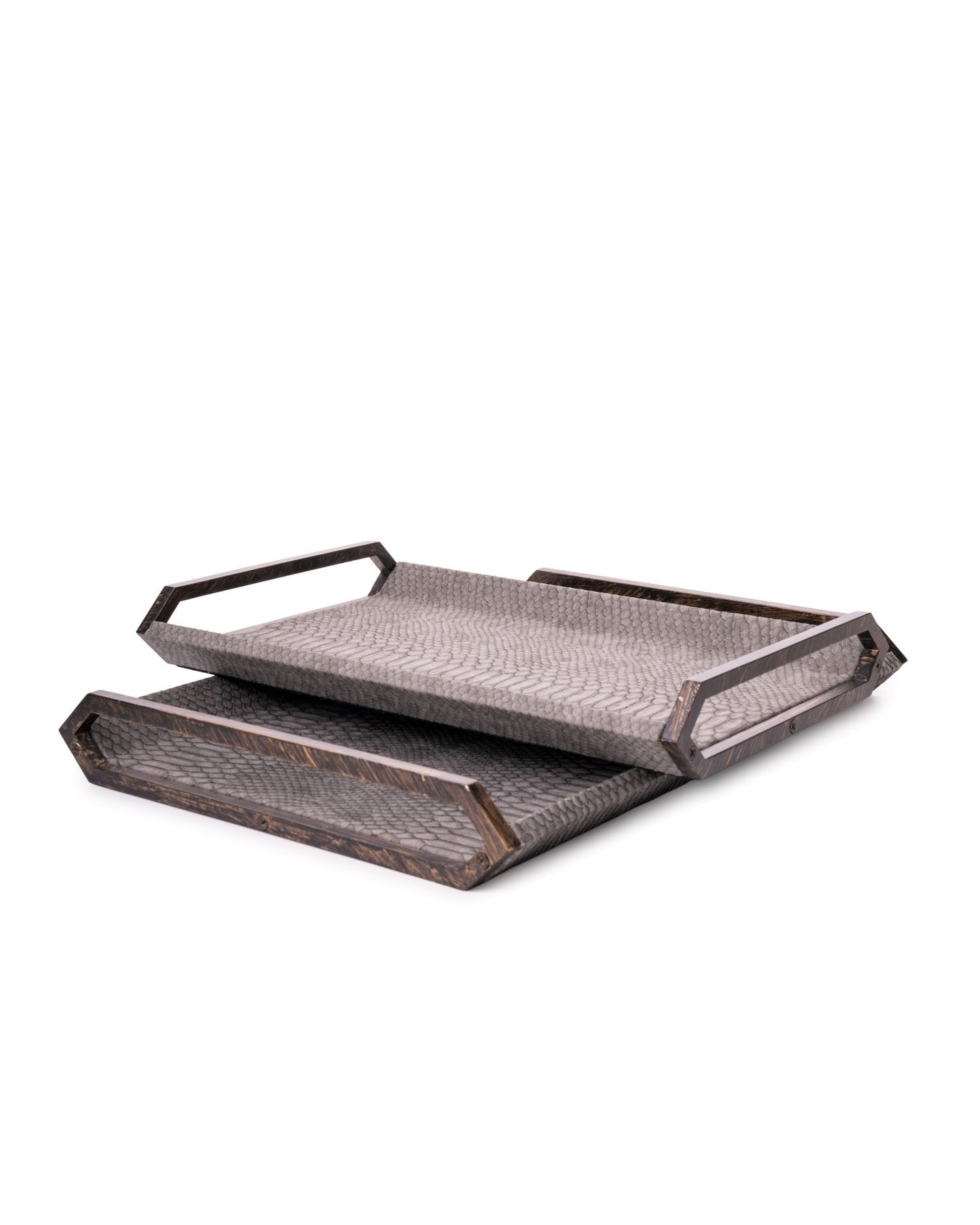Campbell Tray