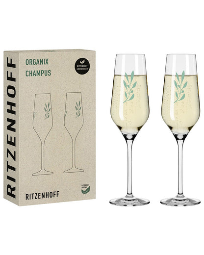 Organix Champagne Glass