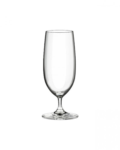 Beer Pilsner 19 Glass
