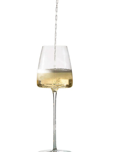 Fresh Sparkling Wine Glass