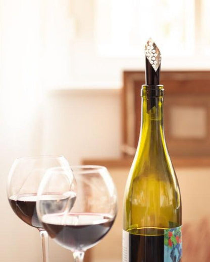 Flexible Aerator Pourer