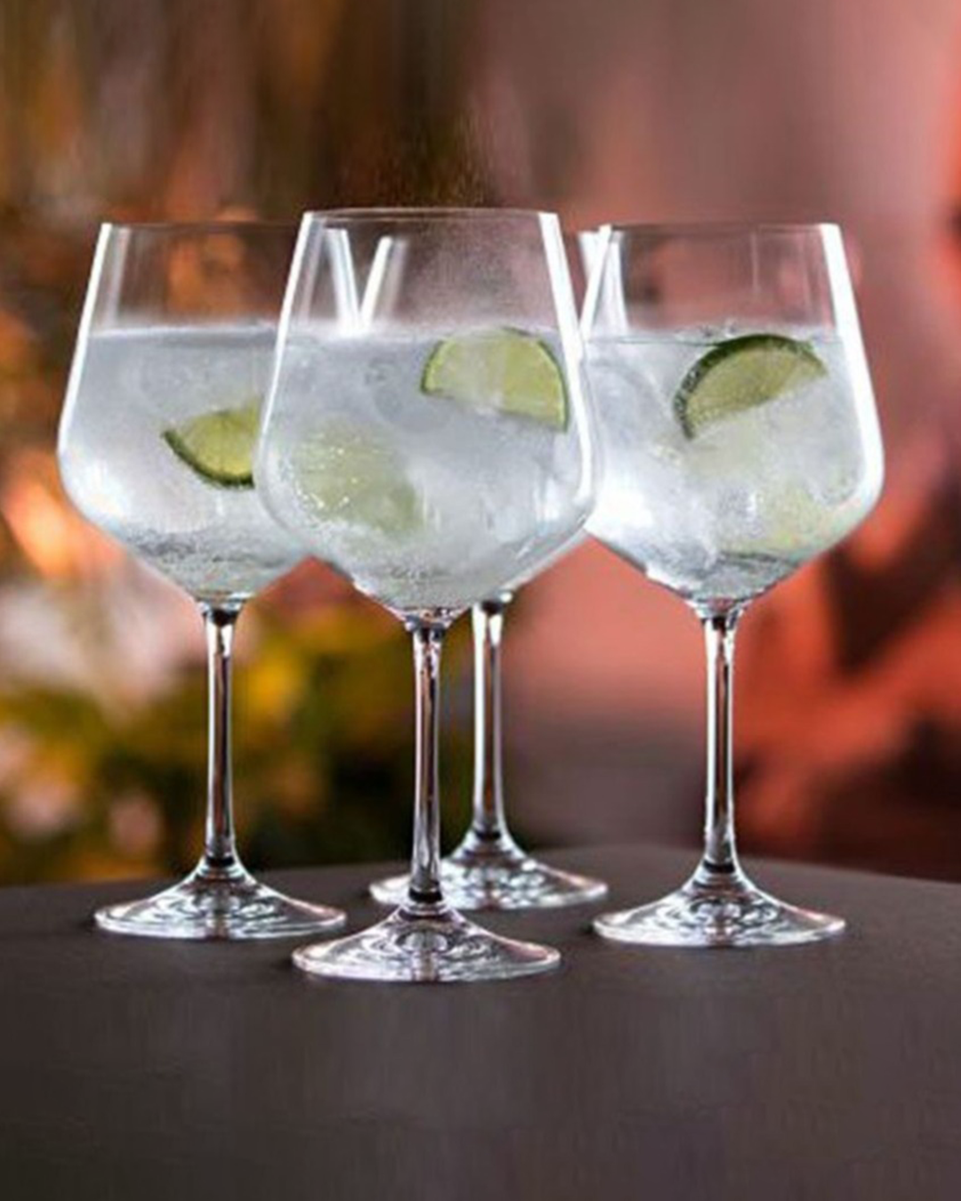 Cheers! Copa Gin Glass