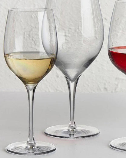 Terroir White Wine Glass, Set of 2