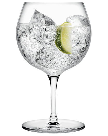 Vintage Gin and Tonic Glass