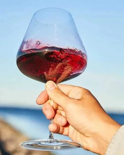 Zalto Burgundy Glass