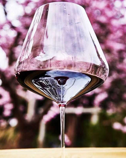 Zalto Burgundy Glass