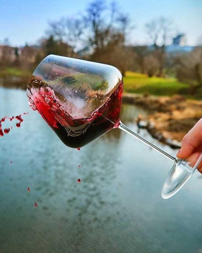 Zalto Burgundy Glass